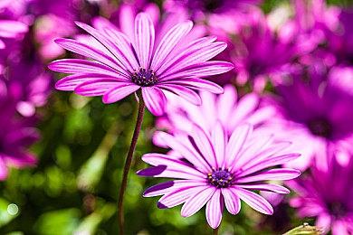 新《战地》建筑破坏效果展示 第一视角体验