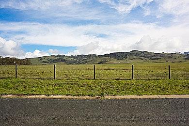 补牢未成 《收获日3》首个补丁发布玩家数量仍低迷