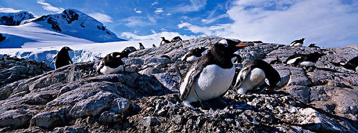 第一人称冒险新游《祖国》上架Steam 支持中文11月发售