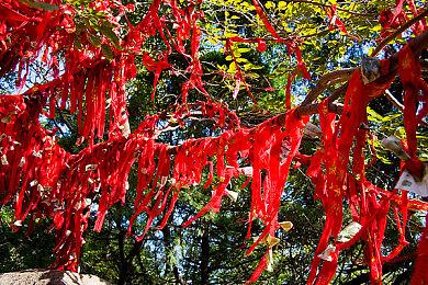 别相信任何人！《堡垒之夜》加入狼人杀玩法